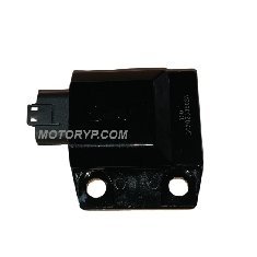 Yuki Dırtypaws 300cc 2T CDI Beyin